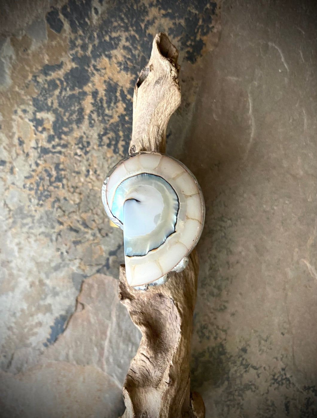 Kona Shell Rings