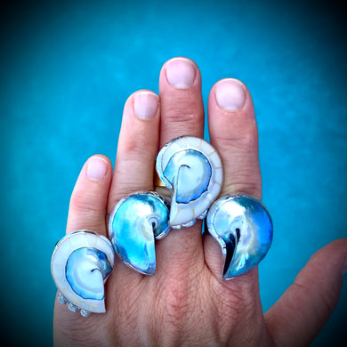 Kona Shell Rings